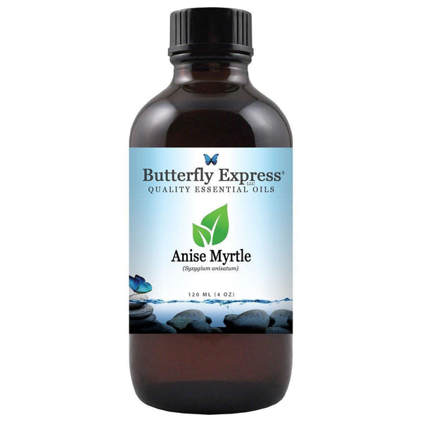 Anise Myrtle Essential Oil