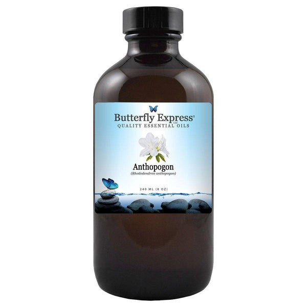 Anthopogon Essential Oil