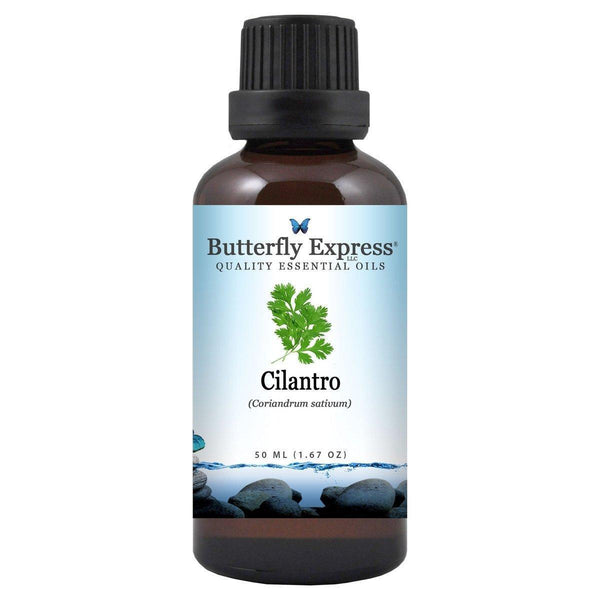 Cilantro Essential Oil