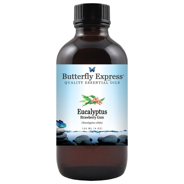 Eucalyptus Strawberry Gum Essential Oil