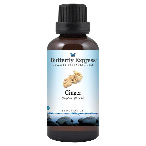 Ginger Essential Oil