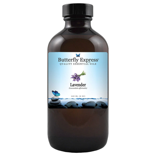 Lavender Officinalis Essential Oil