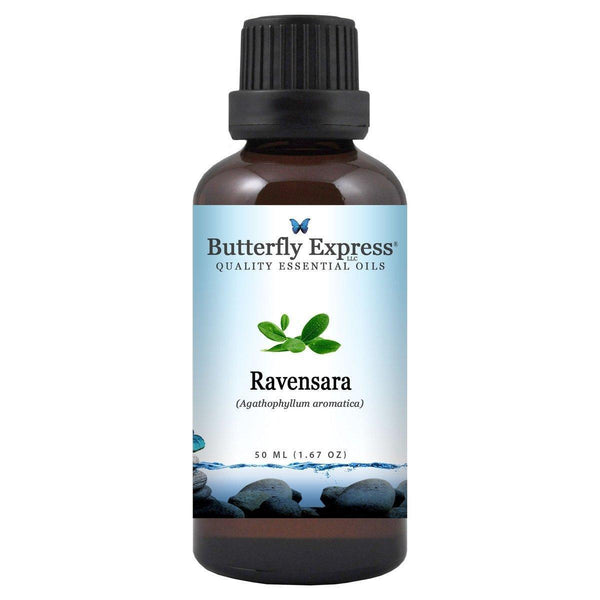 Ravensara Essential Oil