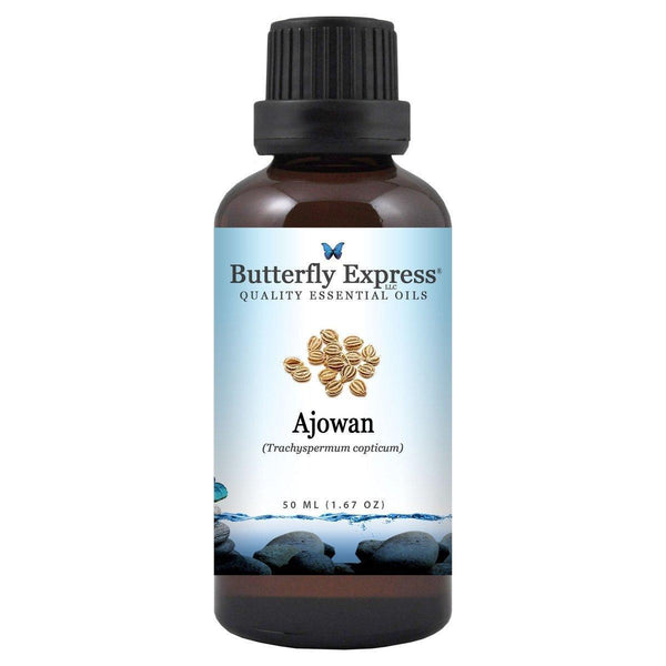 Ajowan Essential Oil