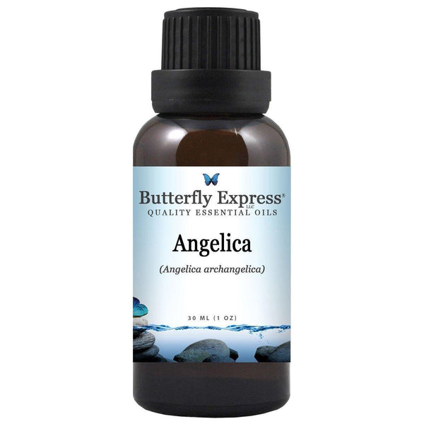 Angelica Essential Oil