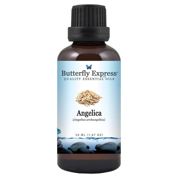 Angelica Essential Oil