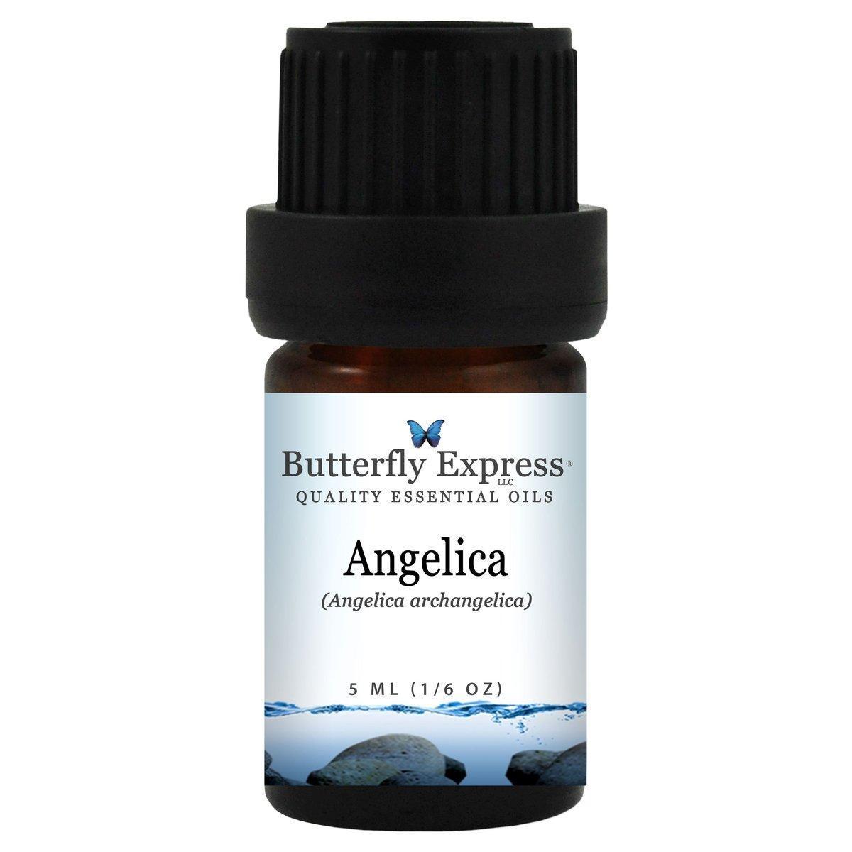 Angelica Essential Oil