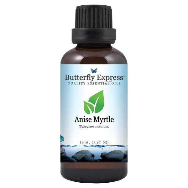 Anise Myrtle Essential Oil