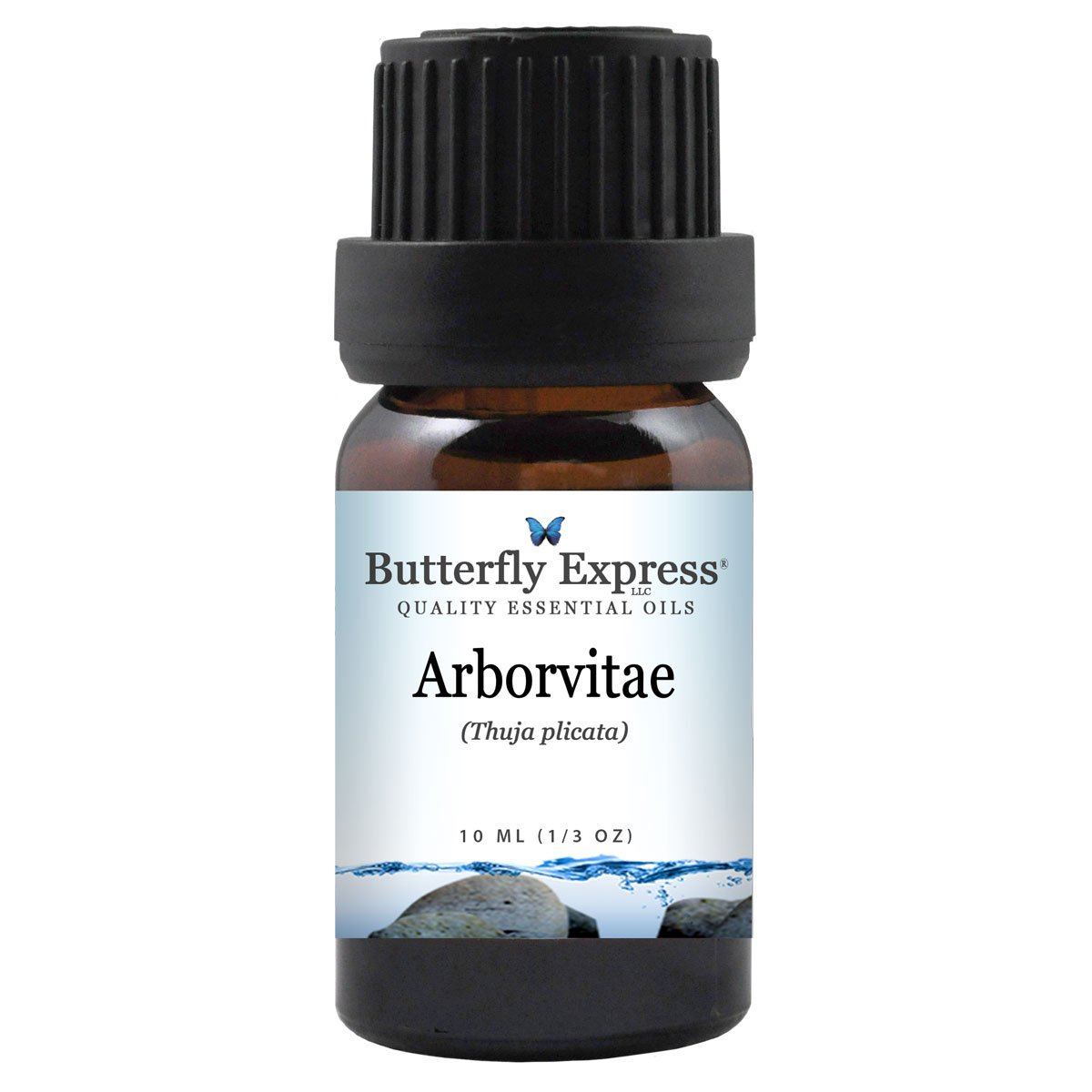 Arborvitae Essential Oil