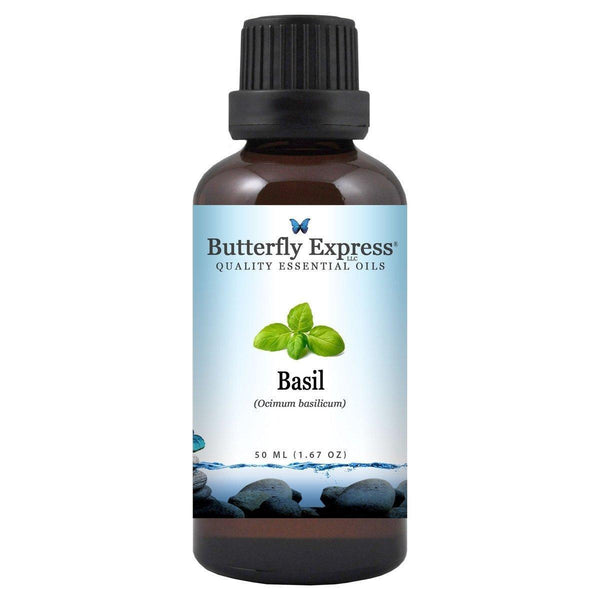 Basil Essential Oil