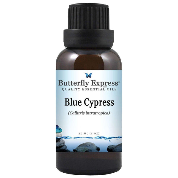 Blue Cypress Essential Oil