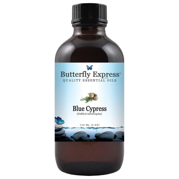 Blue Cypress Essential Oil