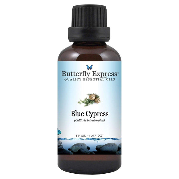 Blue Cypress Essential Oil