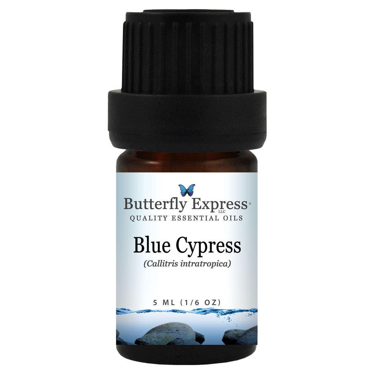 Blue Cypress Essential Oil