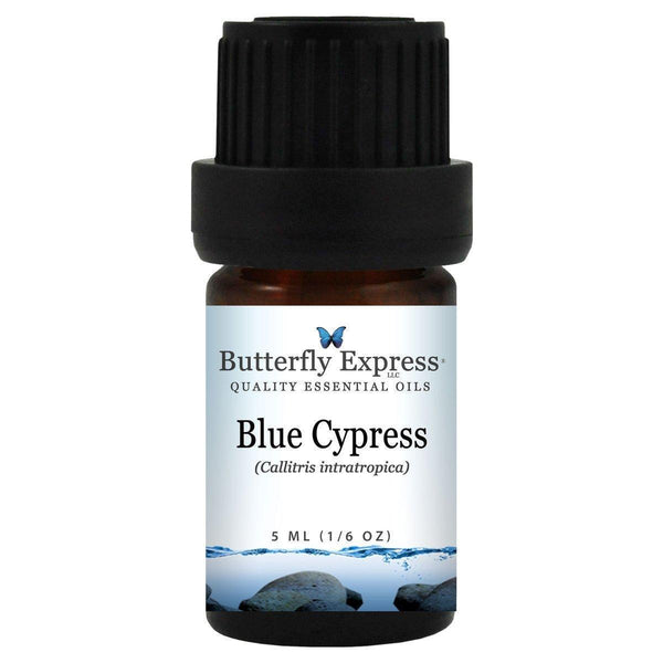 Blue Cypress Essential Oil