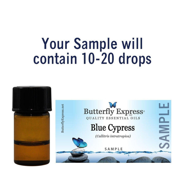 Blue Cypress Essential Oil