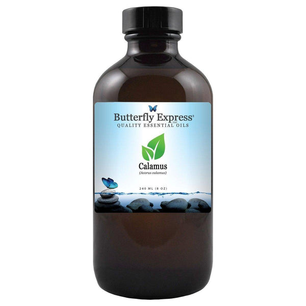 Calamus Essential Oil