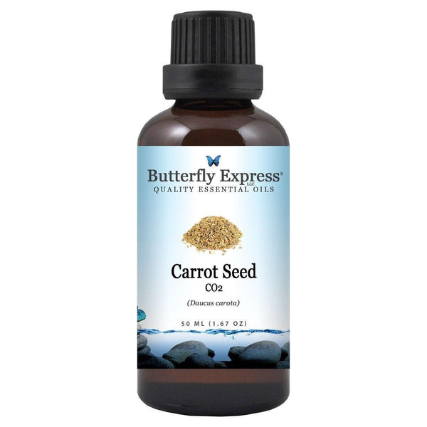 Carrot Seed CO2 Essential Oil