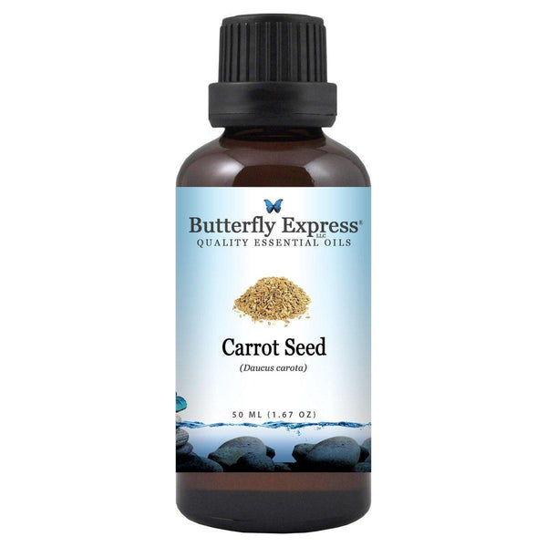 Carrot Seed Essential Oil
