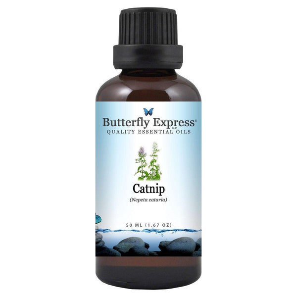 Catnip Essential Oil