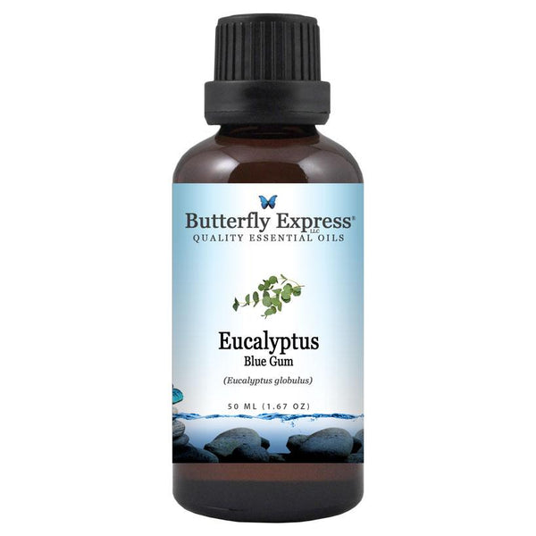 Eucalyptus Blue Gum Essential Oil