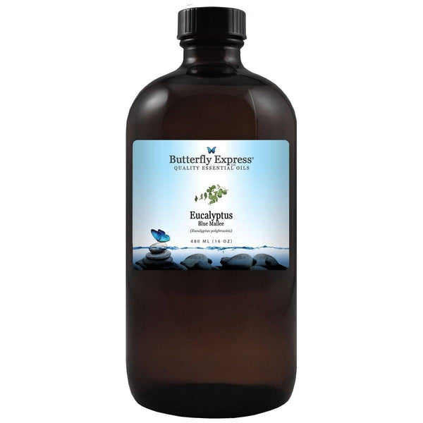 Eucalyptus Blue Mallee Essential Oil