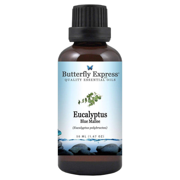 Eucalyptus Blue Mallee Essential Oil