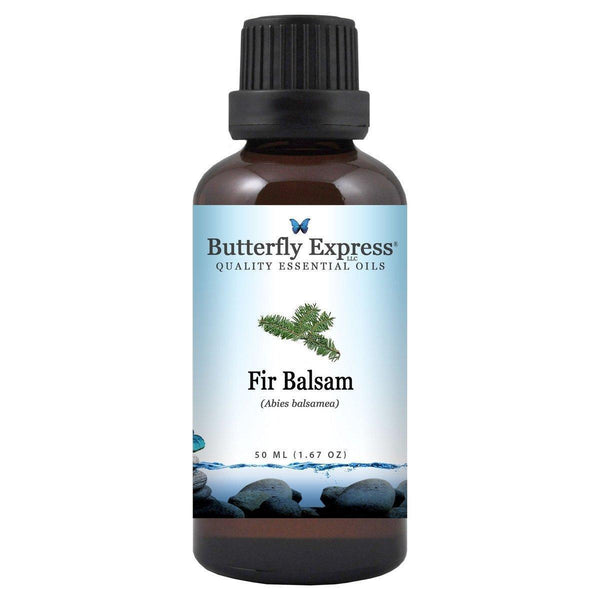 Fir Balsam Essential Oil