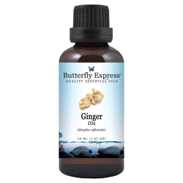 Ginger CO2 Essential Oil