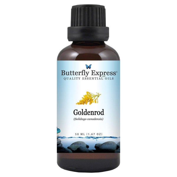 Goldenrod Essential Oil