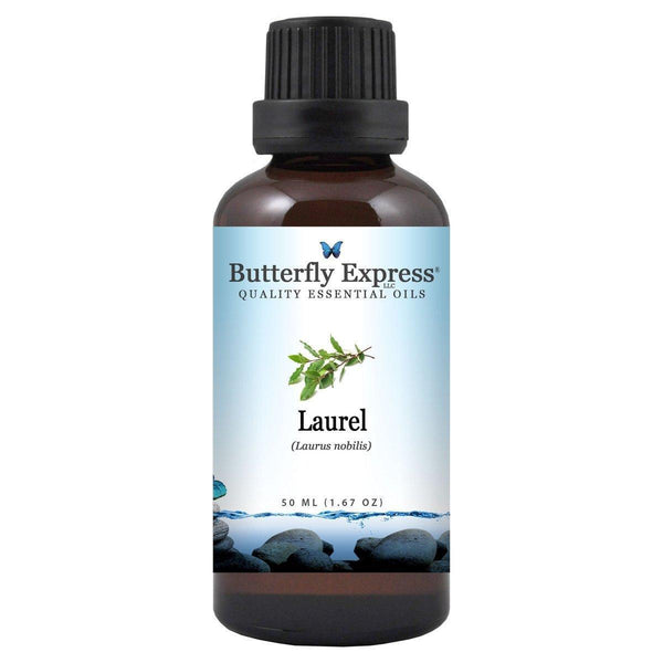 Laurel Essential Oil