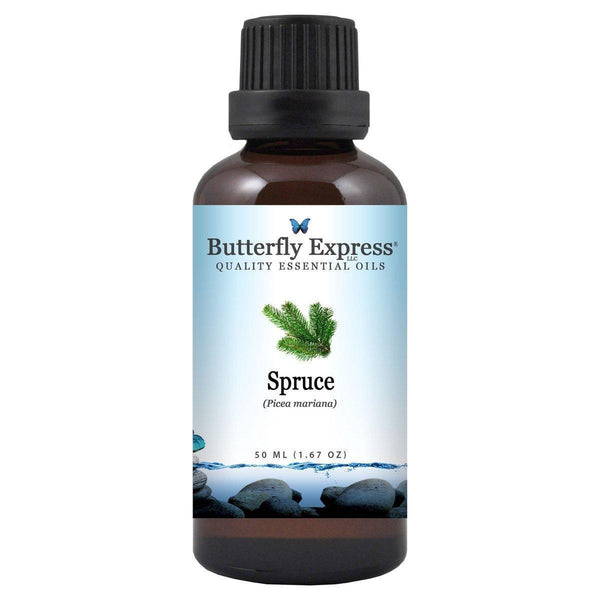 Spruce Picea Essential Oil