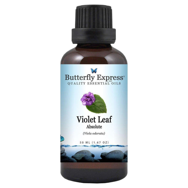 Violet Leaf Absolute Essential Oil