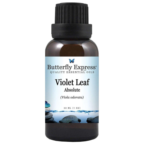 Violet Leaf Absolute Essential Oil