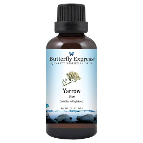 Yarrow Blue Essential Oil