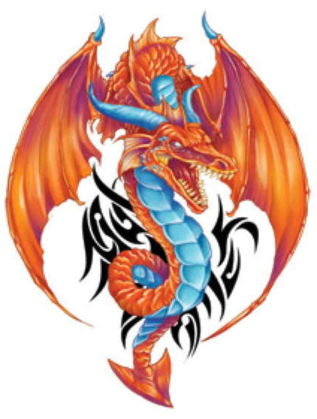 Fantasy Dragons Temporary Tattoos Pack of 10 Unique Tattoos